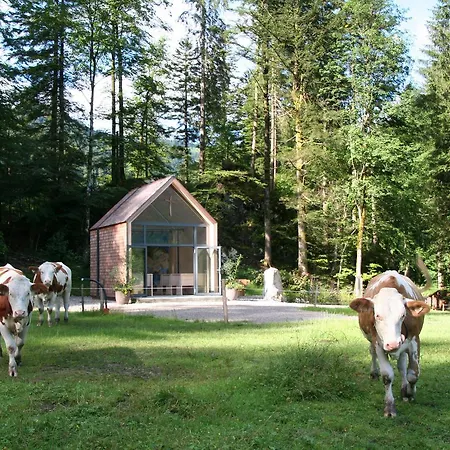 Szálloda Das Hintersee Hintersee